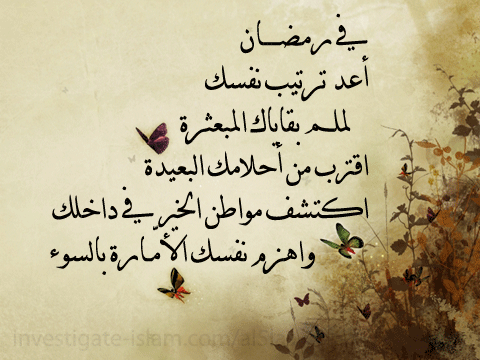  bntpal_1435307259_88
