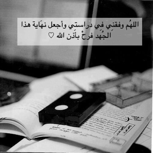   bntpal_1435325585_51