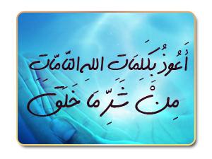  bntpal_1435394957_13