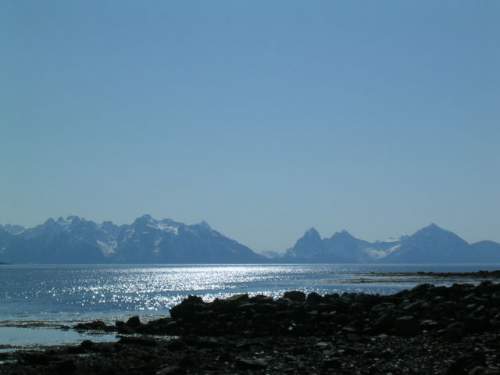   bntpal_1435396918_23