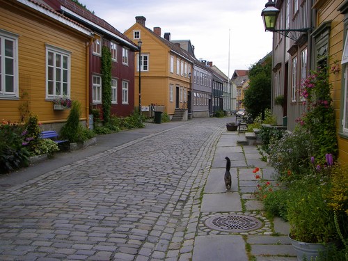   bntpal_1435396918_33