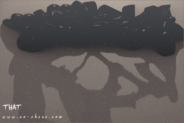 bntpal_1435400727_37