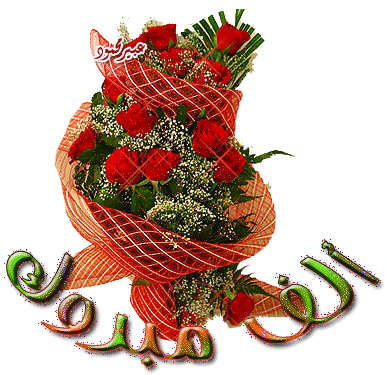   bntpal_1435494187_51