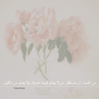 bntpal_1435494485_98