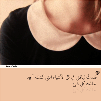 bntpal_1435494486_77