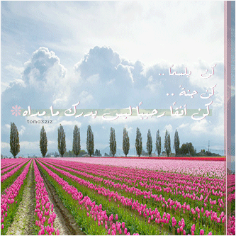 bntpal_1435494487_49