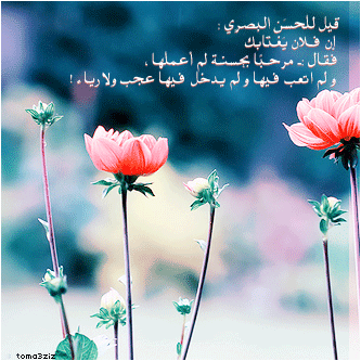 bntpal_1435494488_39