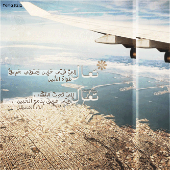 bntpal_1435494497_31