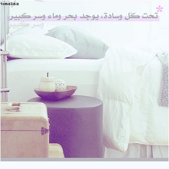 bntpal_1435494499_34