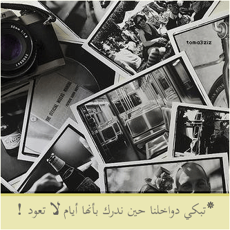 bntpal_1435494500_91