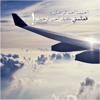 bntpal_1435494503_59