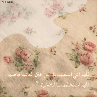bntpal_1435494505_73