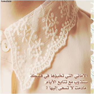 bntpal_1435494505_95