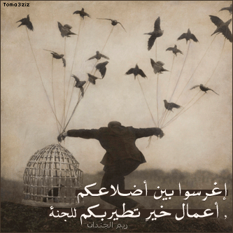 bntpal_1435494506_43