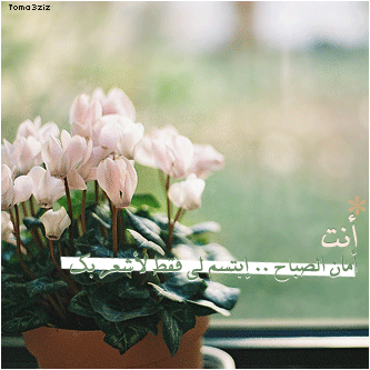 bntpal_1435494512_45