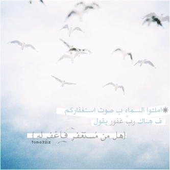 bntpal_1435494514_41