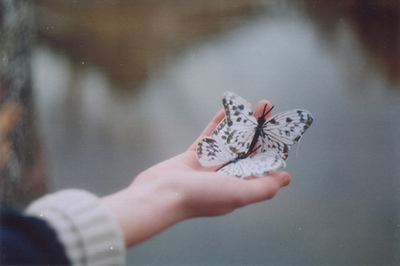 bntpal_1435530590_90