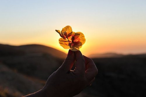 bntpal_1435530591_81
