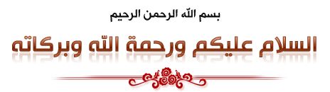 bntpal_1435531000_69