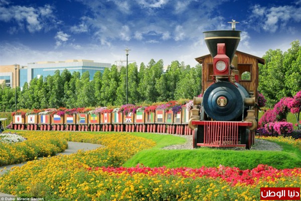  bntpal_1435561869_75