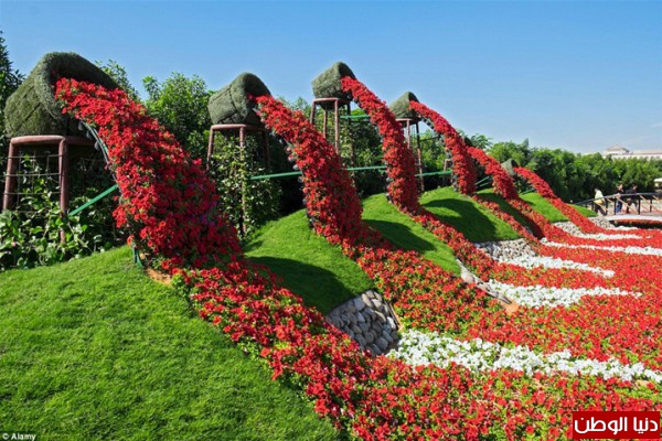  bntpal_1435561870_75