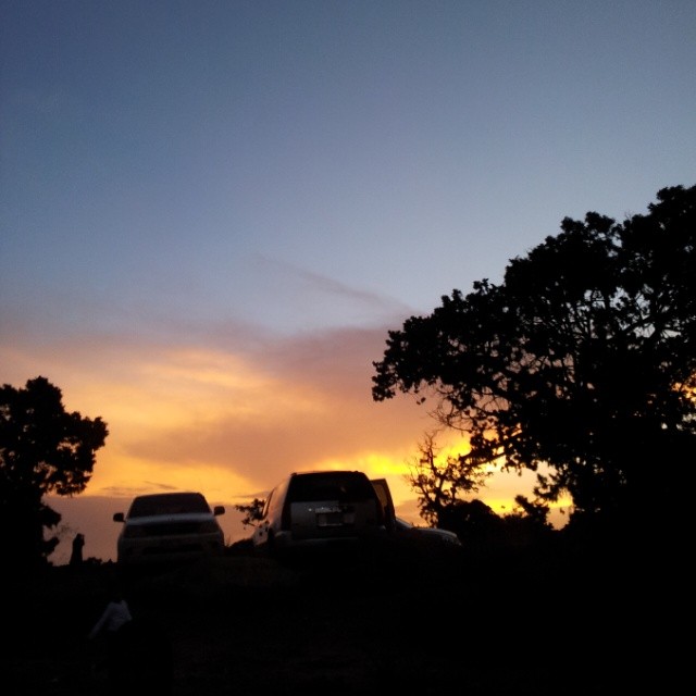 . bntpal_1435661381_64