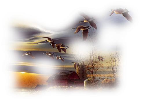 bntpal_1435667907_80