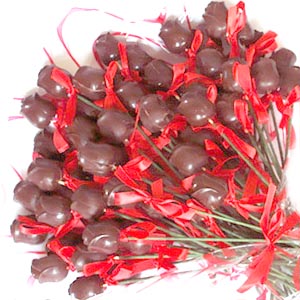 bntpal_1435695168_47