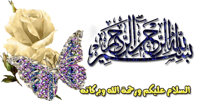 {   } bntpal_1435738109_40