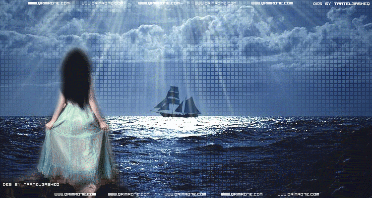 bntpal_1435865276_33