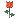 bntpal_1435899555_27