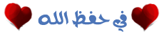 bntpal_1435900547_79