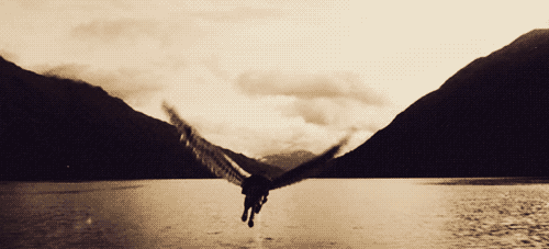 bntpal_1435994758_54