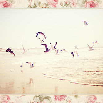 bntpal_1435998726_78