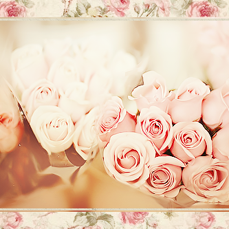bntpal_1435998726_98