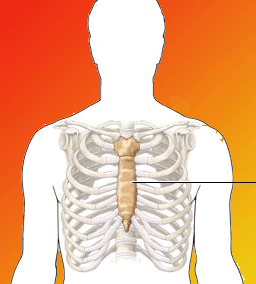 bntpal_1436023117_93