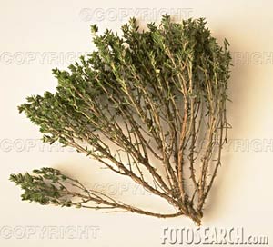 bntpal_1436023119_21