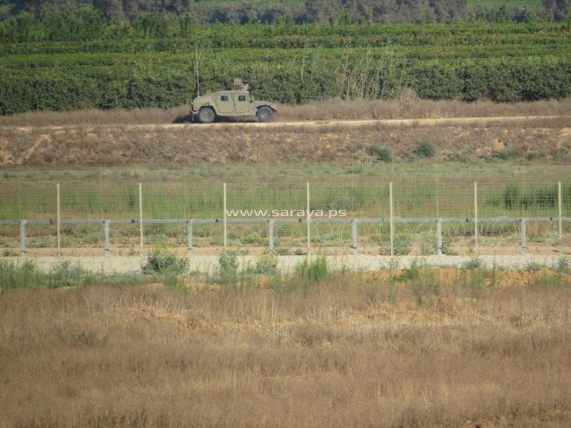  bntpal_1436097515_14