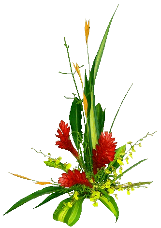 bntpal_1436185368_67