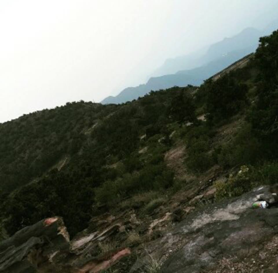   bntpal_1436250716_40