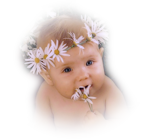 " bntpal_1436282872_34