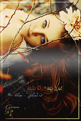  bntpal_1436410990_93