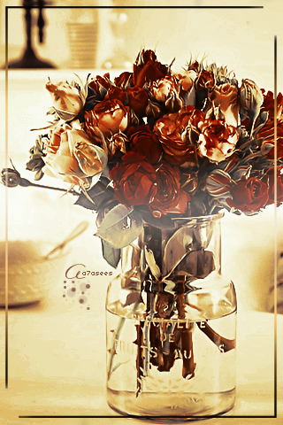  bntpal_1436411008_48