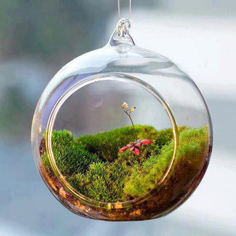 bntpal_1436906908_37