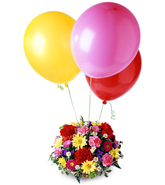 [] bntpal_1436991166_34