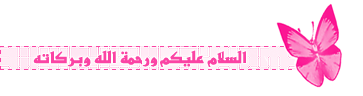 bntpal_1437005714_26