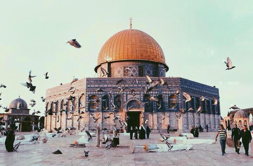 bntpal_1437164282_82