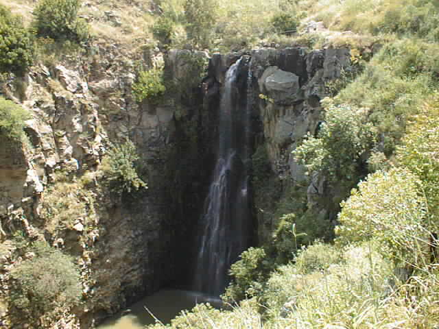 ** ** bntpal_1437307546_71