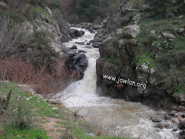 ** ** bntpal_1437307548_20
