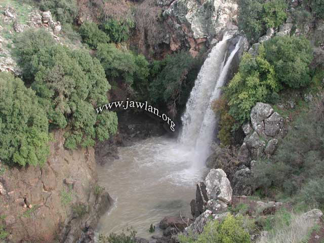 ** ** bntpal_1437307549_63